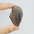 Pinha Fossilizada 5,6cm - comprar online