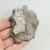 Coral Fóssil 7,8cm - comprar online