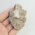 Coral Fóssil 7,3cm - comprar online