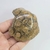 Coral Fóssil 7,5cm
