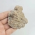 Coral Fóssil 7,5cm - comprar online