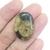 Amonite 2,8cm