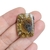 Amonite 2,7cm
