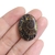 Amonite 2,9cm