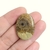Amonite 3,1cm