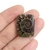 Amonite 2,5cm