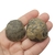 Septariana 3,7cm - comprar online