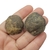 Septariana 3,2cm - comprar online