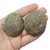 Septariana 4,7cm - comprar online