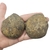 Septariana 6,8cm - comprar online
