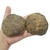 Septariana 8cm - comprar online