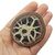 Septariana 5,3cm na internet