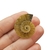 Fóssil Amonite 2,8cm - comprar online