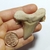 Fóssil de Dente de Tubarão (Cretolamna appendiculata) 4,9cm - comprar online