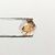 Quartzo Rutilado 10mm na internet