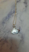 Dije Gingko Biloba