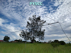 7EL 50MHz MOD-MHZ45 - comprar online