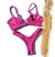 Biquini Pandora Rosa Pitaya Asa Delta Drone - loja online