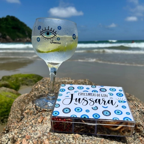 Taça de Gin + Kit Especiarias