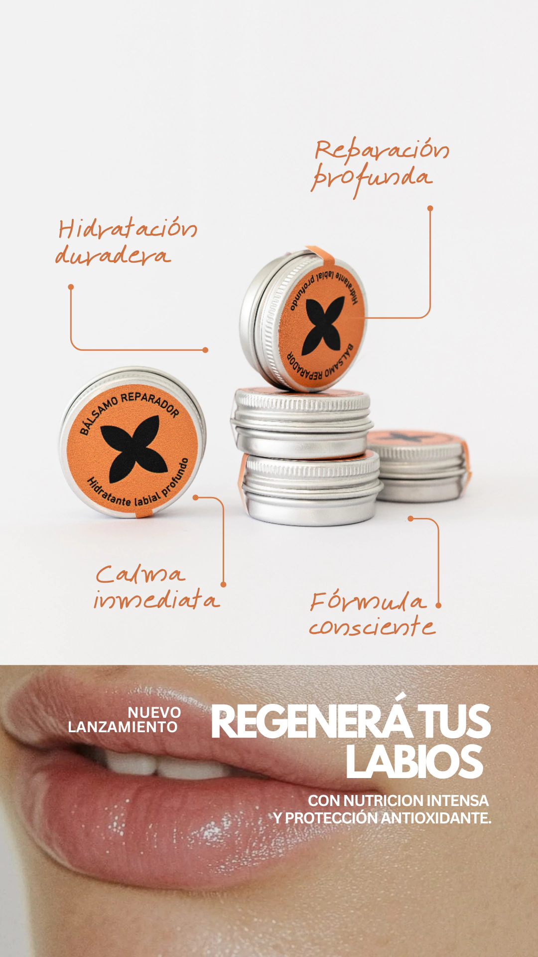 Carrusel 1