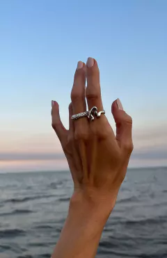 Sandy Ring en internet