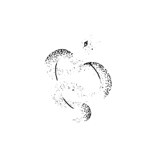 LUST CLOTHING