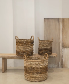 CANASTO HODLER - comprar online