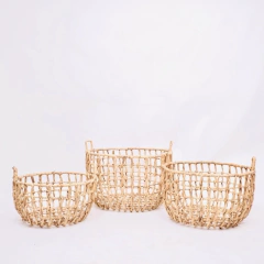 CANASTO MERCURY en internet