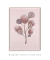 Quadro Decorativo Diversidade Rosa - Mondessin | Quadros Decorativos