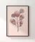 Quadro Decorativo Diversidade Rosa