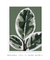 Quadro Decorativo Green - comprar online