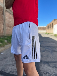Short AD Blanco TN