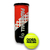 Caja de 12 tubos Odea Padel Ball de 3 pelotas en internet