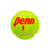 Tubo penn premiere - comprar online
