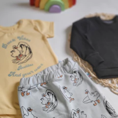 BODY DUCK SURF en internet