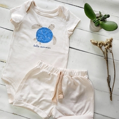 Conjunto Tortuga cremita