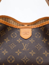 Bolsa Louis Vuitton Delightful MM na internet