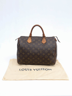 Imagem do Bolsa Louis Vuitton Speedy 30