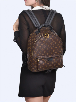 Mochila Louis Vuitton Palm Springs MM - comprar online