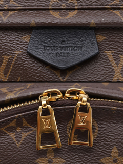 Imagem do Mochila Louis Vuitton Palm Springs MM