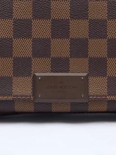 Louis Vuitton Damier Canvas District PM na internet