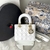 Bolsa Dior Lady - loja online