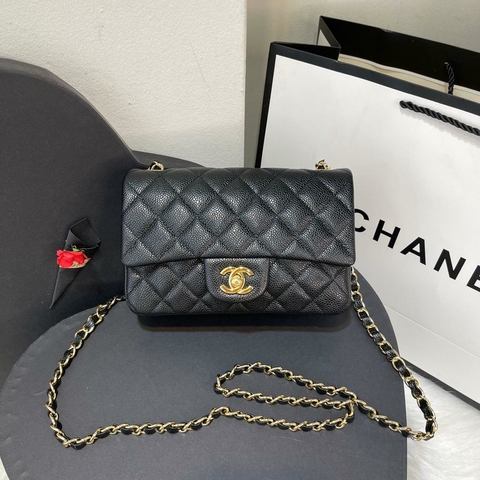 Bolsa CH270