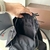 Mochila Rucksack Preto - loja online