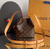 Bolsa All In BB - Andreza Oliveira