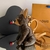 Bolsa Cachorro Vira Lata - buy online