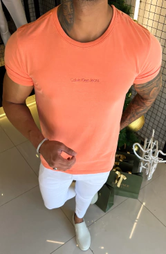 CAMISETA CALVIN KLEIN JEANS NOME CENTRAL - SALMÃO - comprar online