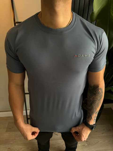 CAMISETA ARAMIS TOM SOBRE TOM - CHUBO