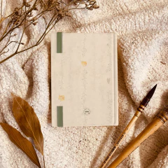 Diário do bebê - Pintinhos na internet