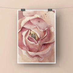 Casa Rosa - comprar online